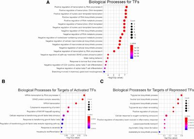 A joint transcriptional regulatory network and protein activity inference analysis identifies clinically associated master regulators for biliary atresia